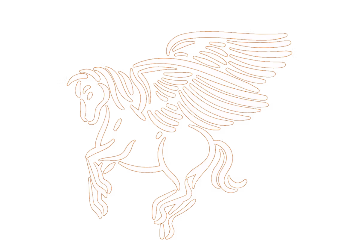 Pegasus Adjusting Firm